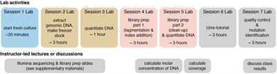 Resequencing of Microbial Isolates: A Lab Module to Introduce Novices to Command-Line Bioinformatics